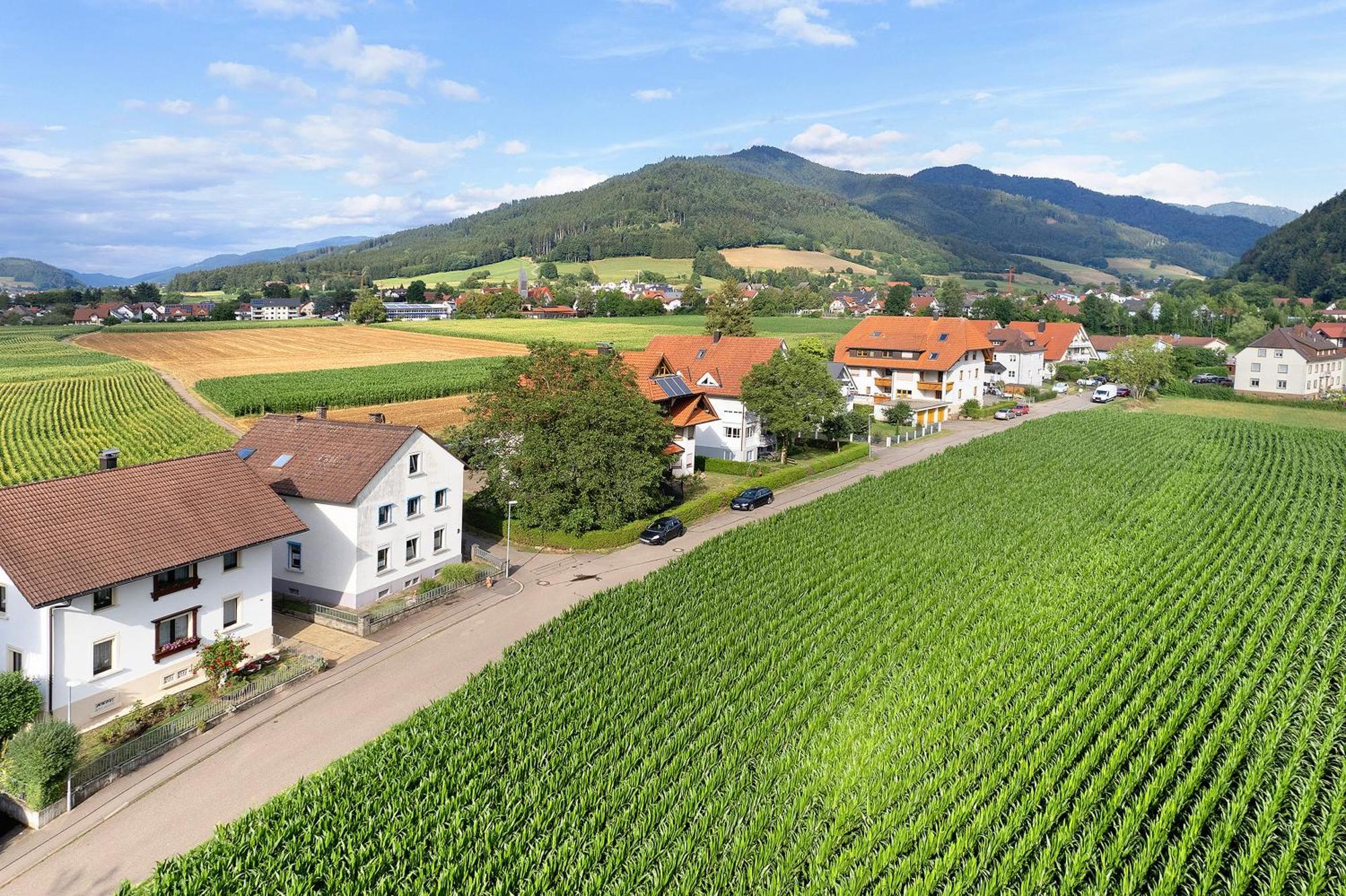 Ferienwohnung Emma Gutach im Breisgau Eksteriør bilde